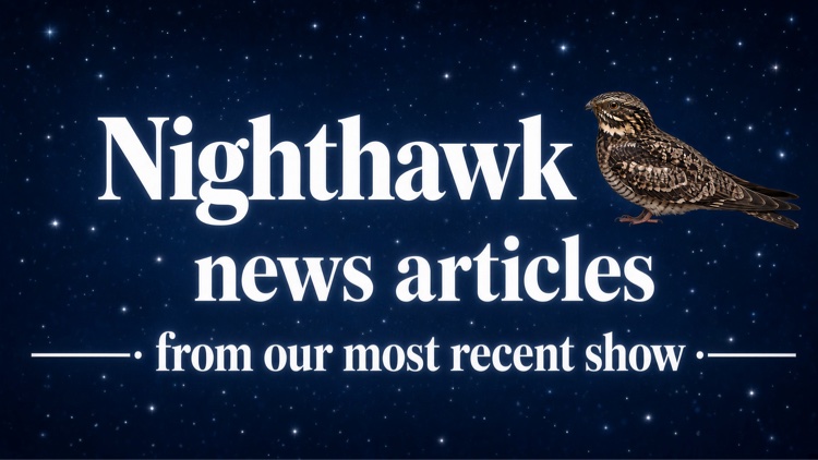 Nighthawk news articles — from our most recent show